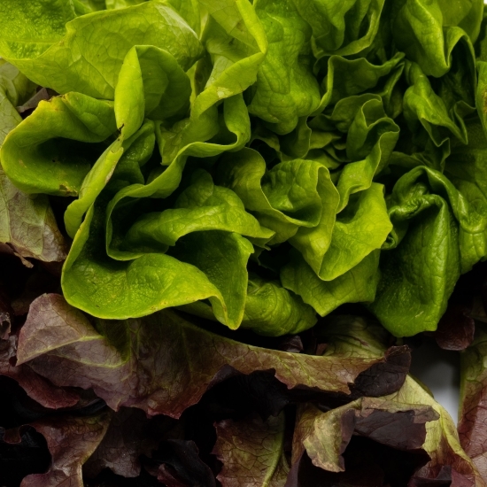 Salată verde Oakleaf eco 175g