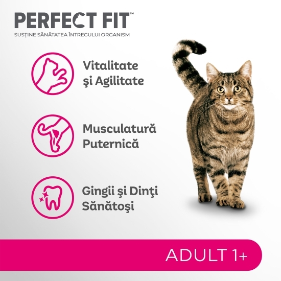 Hrană uscată pentru pisici, 750g, cu somon