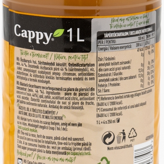 Băutură necarbogazoasă nectar piersici 1l