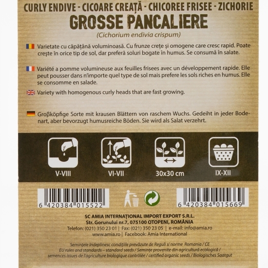 Semințe de cicoare creață 1g