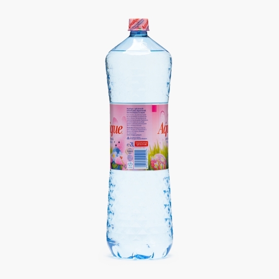 Apă minerală naturală plată 2l