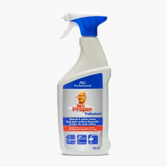 Spray pentru curățarea depunerilor de calcar din zonele sanitare Professional 0.75l