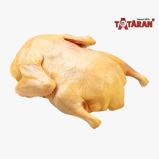 Rață de curte 1.6kg