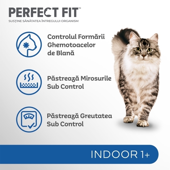 Hrană uscată pentru pisici de interior adulte, 750g, cu pui