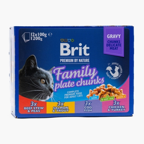 Pachet mix hrană umedă pentru pisici adulte 12x100g