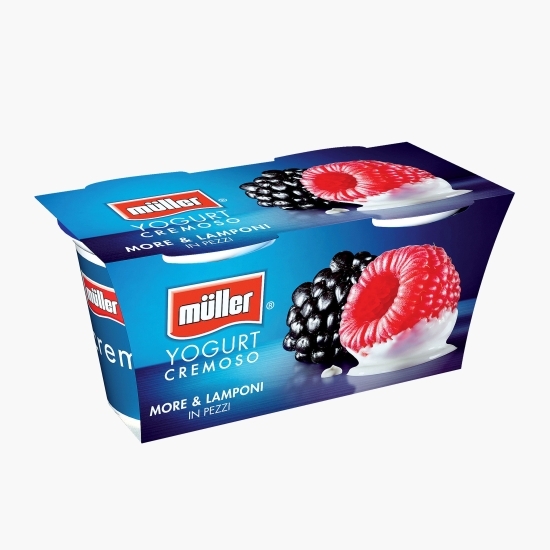 Pachet iaurt cu bucăți de mure și zmeură 2x125g