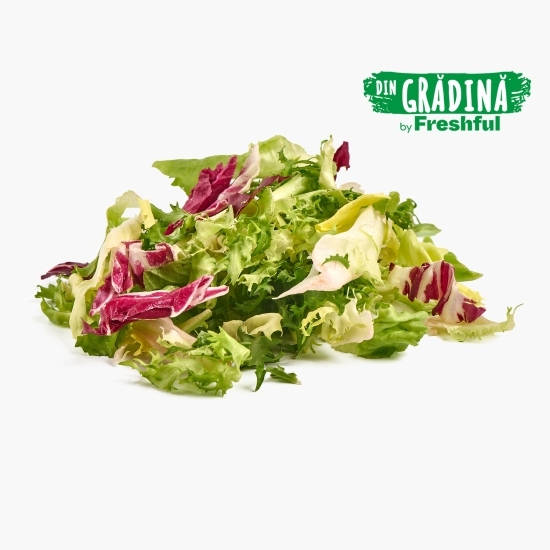Frunze de salată eco mix