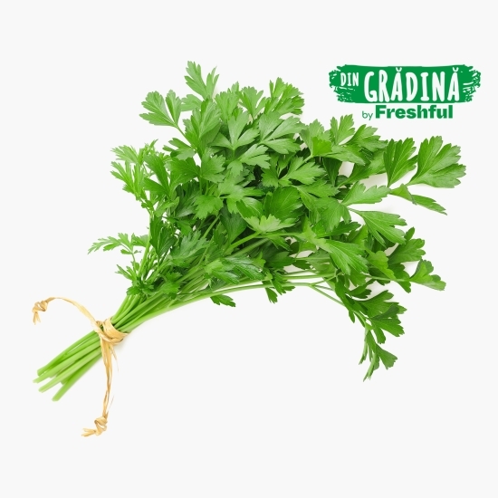 Pătrunjel verde eco, România 30g
