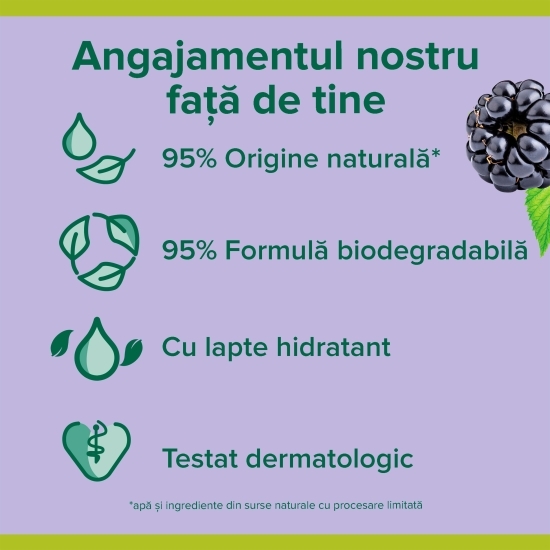 Gel de duș Smoothies, Velvety Blackberry 0.5l