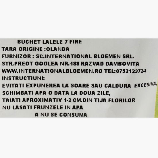 Buchet lalele, 7 fire