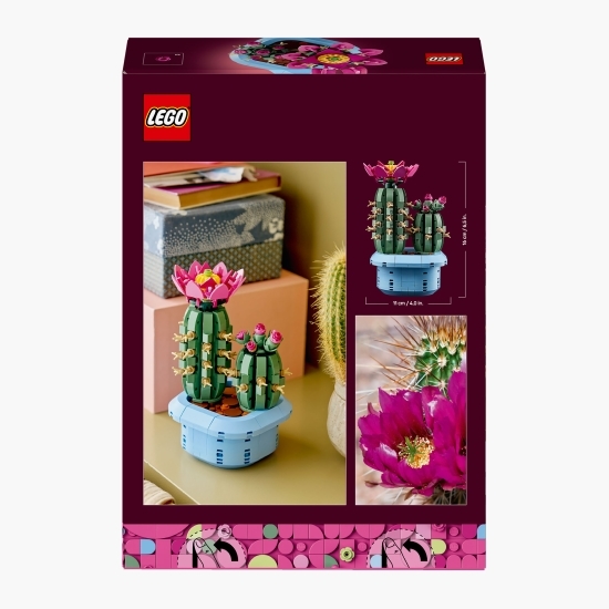 Cactus înflorit, 11509 Botanicals, 482 piese, +9 ani