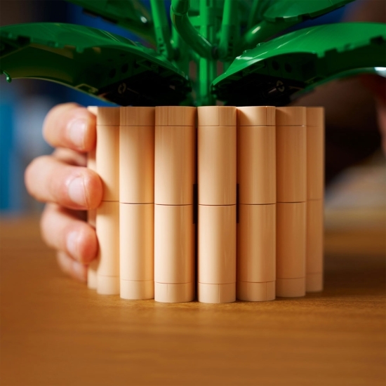 Crinul păcii, 11504 Botanicals, 474 piese, +18 ani