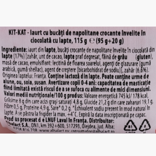 Mix iaurt cu vanilie 115g
