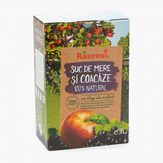 Suc mere și coacăze 3l