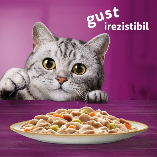 Hrană umedă pentru pisici adulte, 12x85g, Tasty Mix Creamy Creations cu pui și legume, miel și curcan