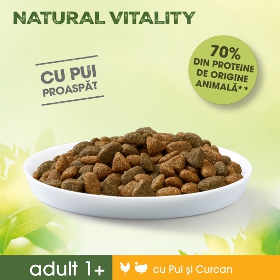 Hrană uscată pentru pisici, 650g, cu pui și curcan
