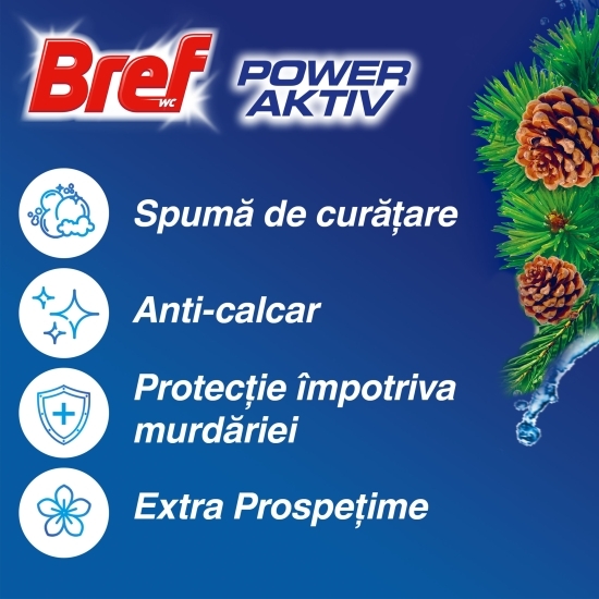Odorizant toaletă Power Active Pine 6x50g