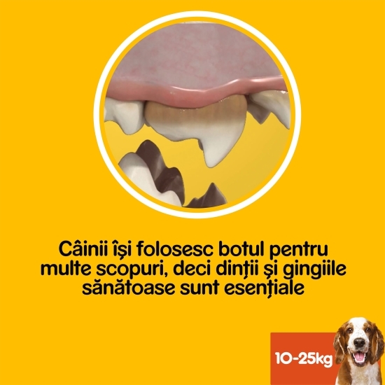 Batoane dentare pentru câini de talie medie, 77g, DentaStix 