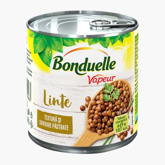 Linte vapeur 310g