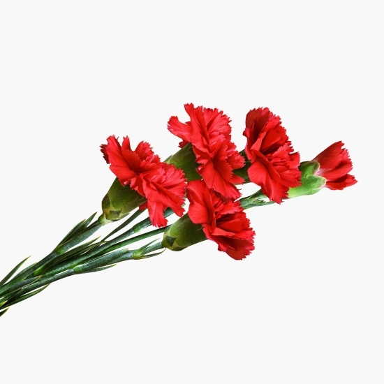 Buchet mixt cu 5 garoafe