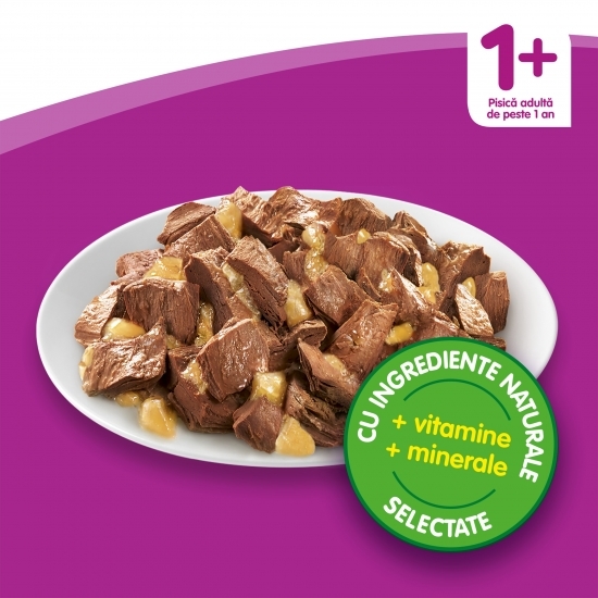 Hrană umedă pentru pisici adulte, 85g, cu vită în aspic