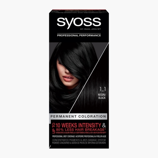 Vopsea de păr permanentă Professional Performance 1-1 negru, 115ml