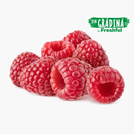 Zmeură România 125g