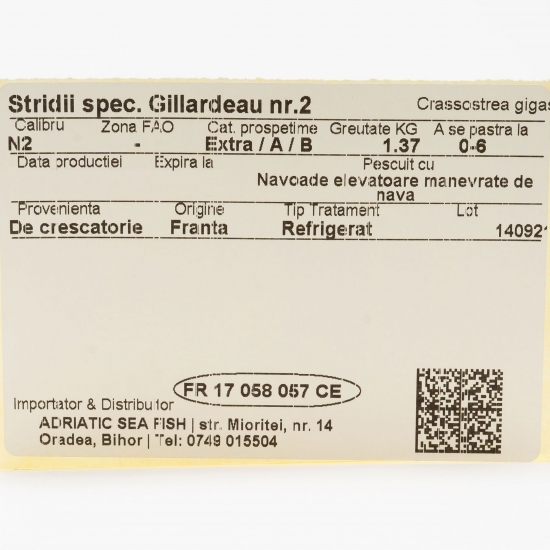 Stridii Gillardeau nr2, 12 buc