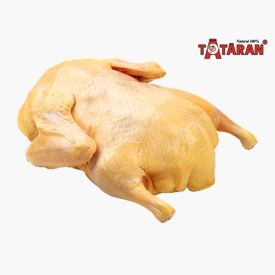 Rață de curte 1.6kg