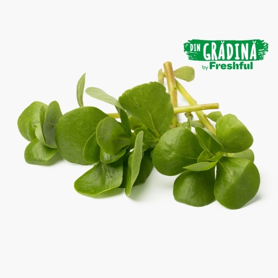 Iarbă grasă eco România (Bioferma Niculești) 100g