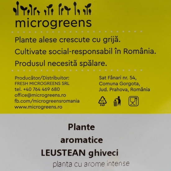 Leuștean în ghiveci