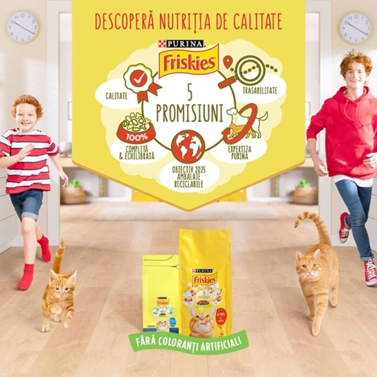 Hrană uscată pentru pisici adulte sterile, 1.5kg, cu somon și legume