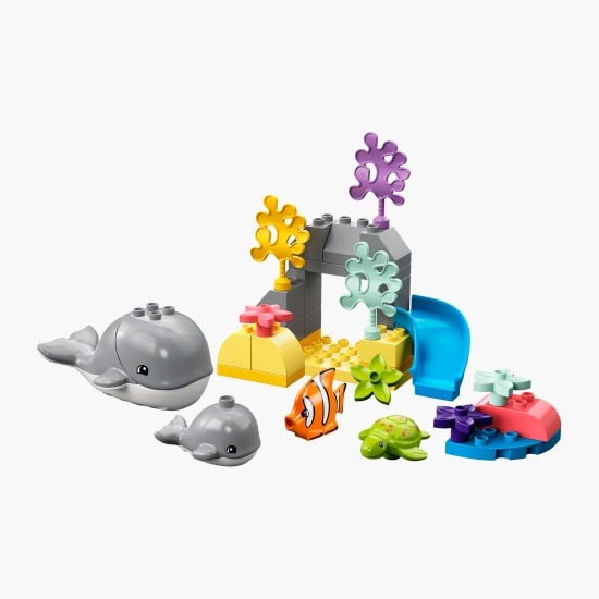 Animale sălbatice din ocean, 10972 Duplo, +2 ani