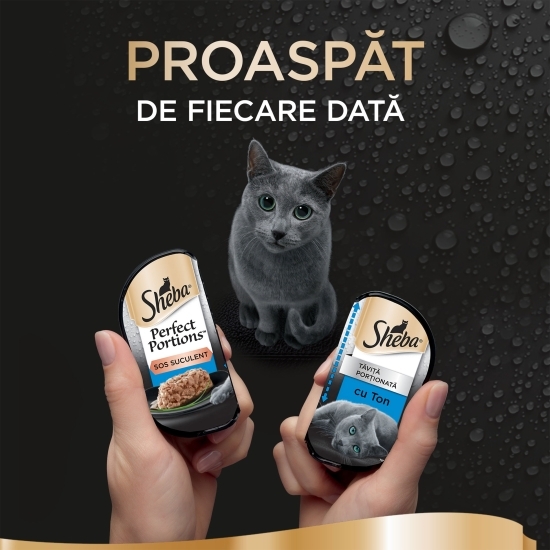 Hrană umedă pentru pisici adulte, 6x37.5g, Perfect Portions cu bucăți de ton