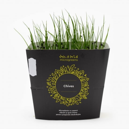 Mix de microplante picante (ridiche roșie, muștar, chives, ridiche chinezească)