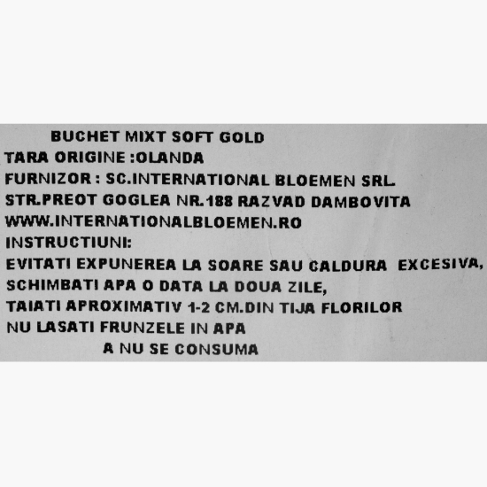 Buchet de flori Mix Soft Gold, diverse culori