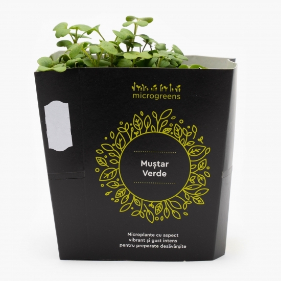 Mix de microplante picante (ridiche roșie, muștar, chives, ridiche chinezească)