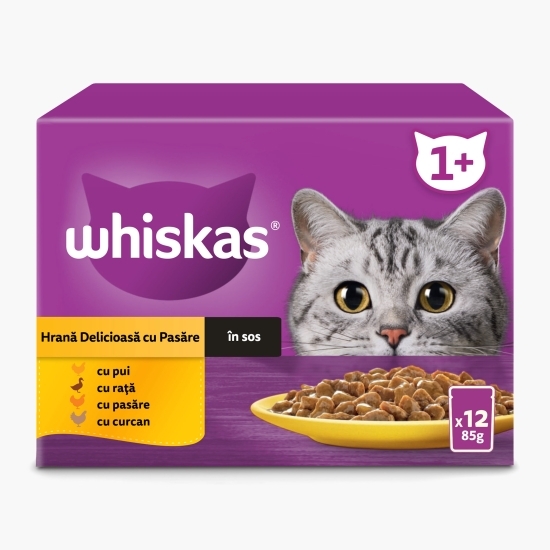 Hrană umedă pentru pisici adulte, 12 x 85g, cu carne de pasăre în sos 