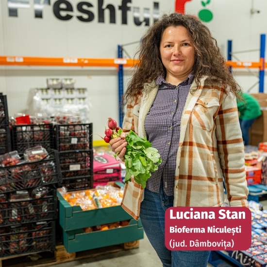 Ridichi roșii eco, 1 legătură, Bioferma Niculești