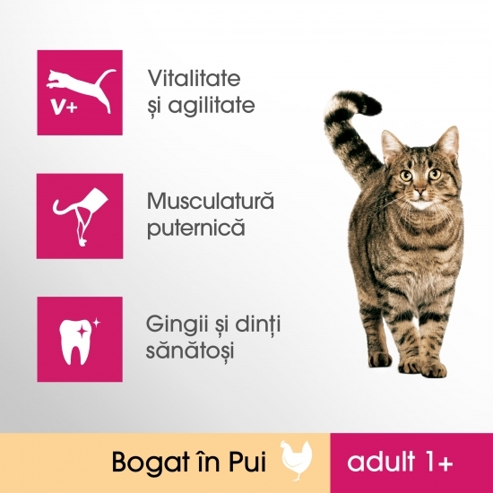 Hrană uscată pentru pisici adulte, 7kg, cu pui
