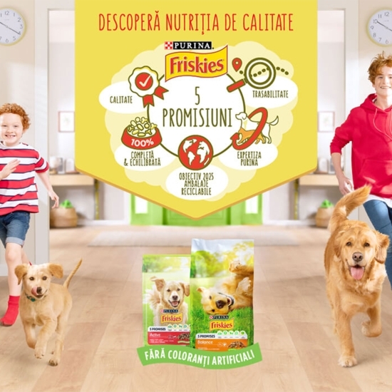 Hrană uscată pentru câini Junior, 2.4kg, cu pui și legume