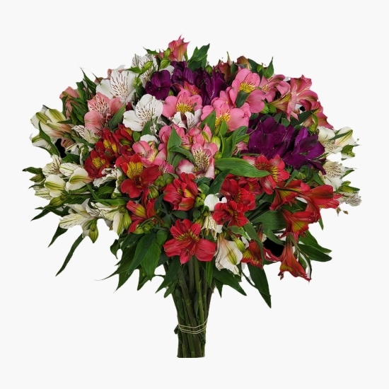 Buchet Alstroemeria mixt 19 fire