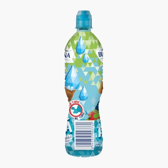 Apă minerală naturală plată 0.33l