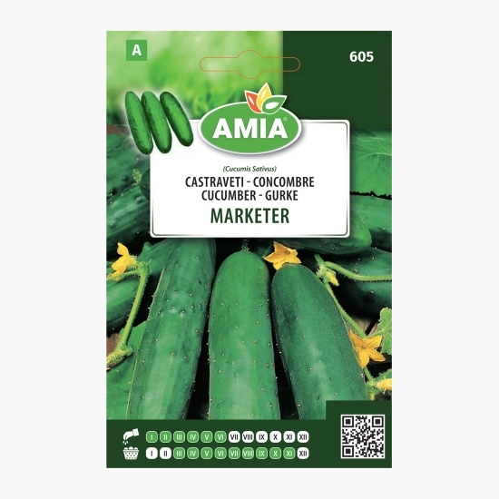 Semințe Castraveți Marketer 1.7g