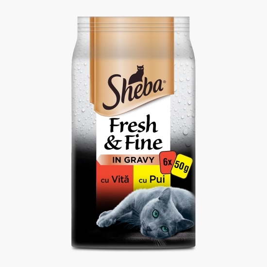 Hrană umedă pentru pisici adulte, 6x50g, cu pui și vită