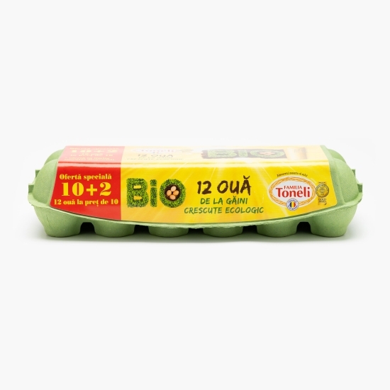 Ouă ecologice mărimea M/L 10+2