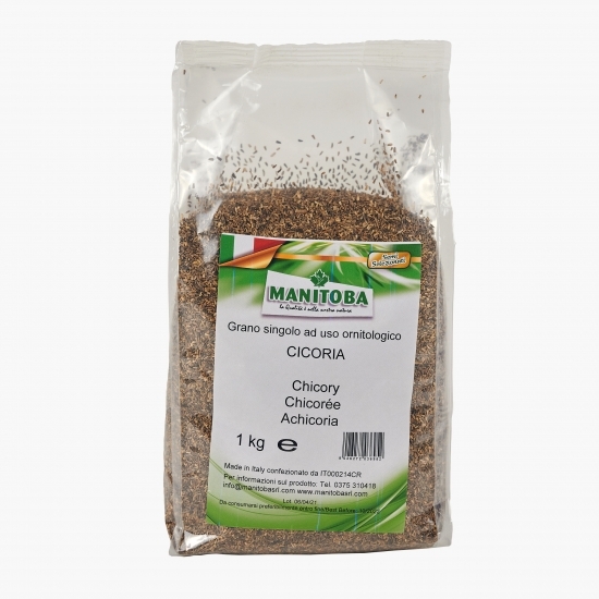 Semințe cicoare 1kg