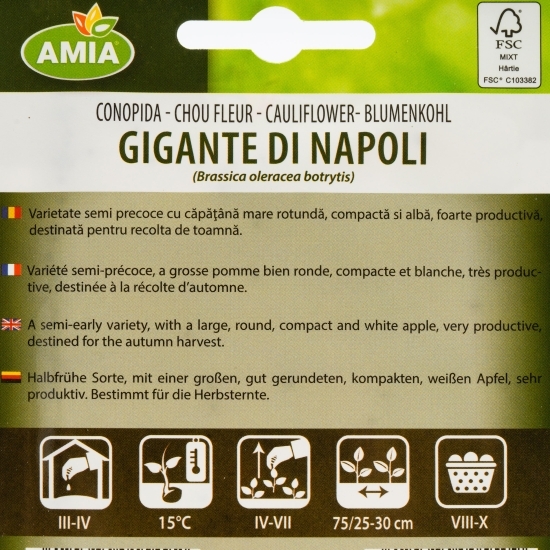 Semințe conopidă Gigante di Napoli 1g