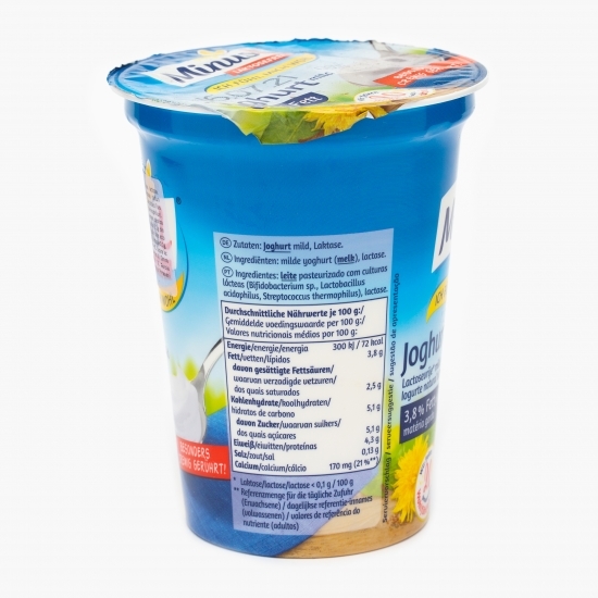 Iaurt fără lactoză 3,8% grăsime 400g