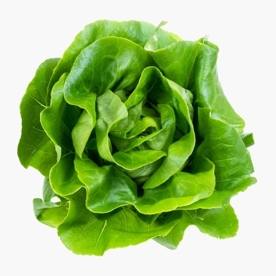 Salată verde, proaspăt culeasă 1 buc